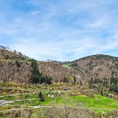 Sonnenblick Iii By Interhome Apartment Todtnauberg