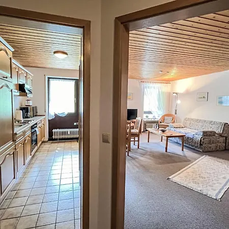 Sonnenblick Iii By Interhome Apartment Todtnauberg