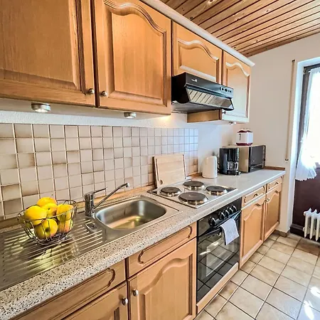 Sonnenblick Iii By Interhome Apartment Todtnauberg